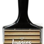 STAIN BRUSH POLYESTER 4-IN