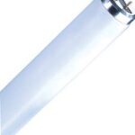 T12 FLUORESCENT TUBE 40W 6500K 48IN