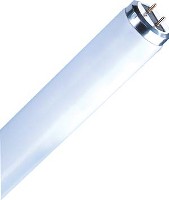 T12 FLUORESCENT TUBE 40W 6500K 48IN