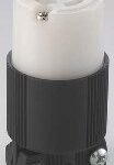 LOCKING PLUG 3 WIRE 15A 125V
