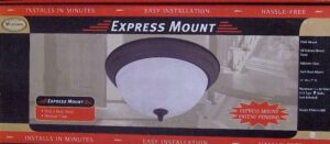 FLUSH MOUNT LIGHT 15-IN BRONZE