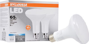 BR30 LED LIGHT BULB DAYLIGHT 9W 2PK