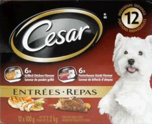 CESAR ENTREES STEAK/CHK 12X100GR