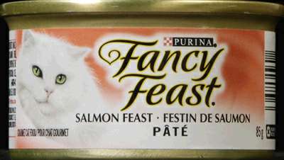 F/FEAST SALMON CATFD