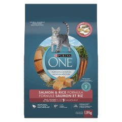 PURINA ONE SALMON & RICE   CAT