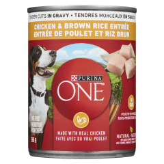 ONE SMARTBLEND CHKN RICE