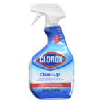 CLOROX CLEAN-UP FRSH